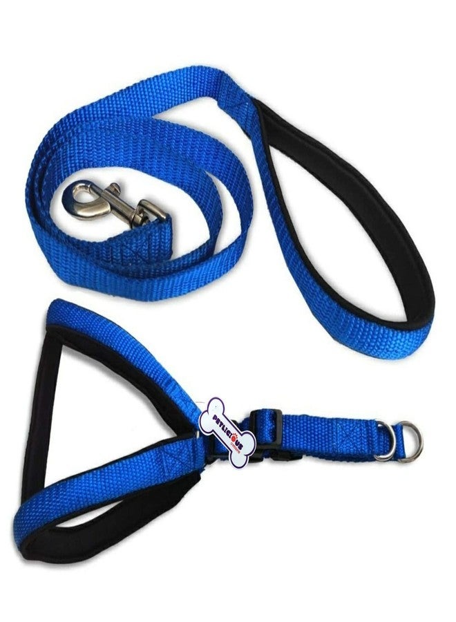 Petlicious & More (Size: Medium, Thick: 1 Inch) Dog Harness Leash Set Adjustable Dog Harness and Leash Set for Daily Outdoor Walking Running Training (Medium)- Blue - Image 1